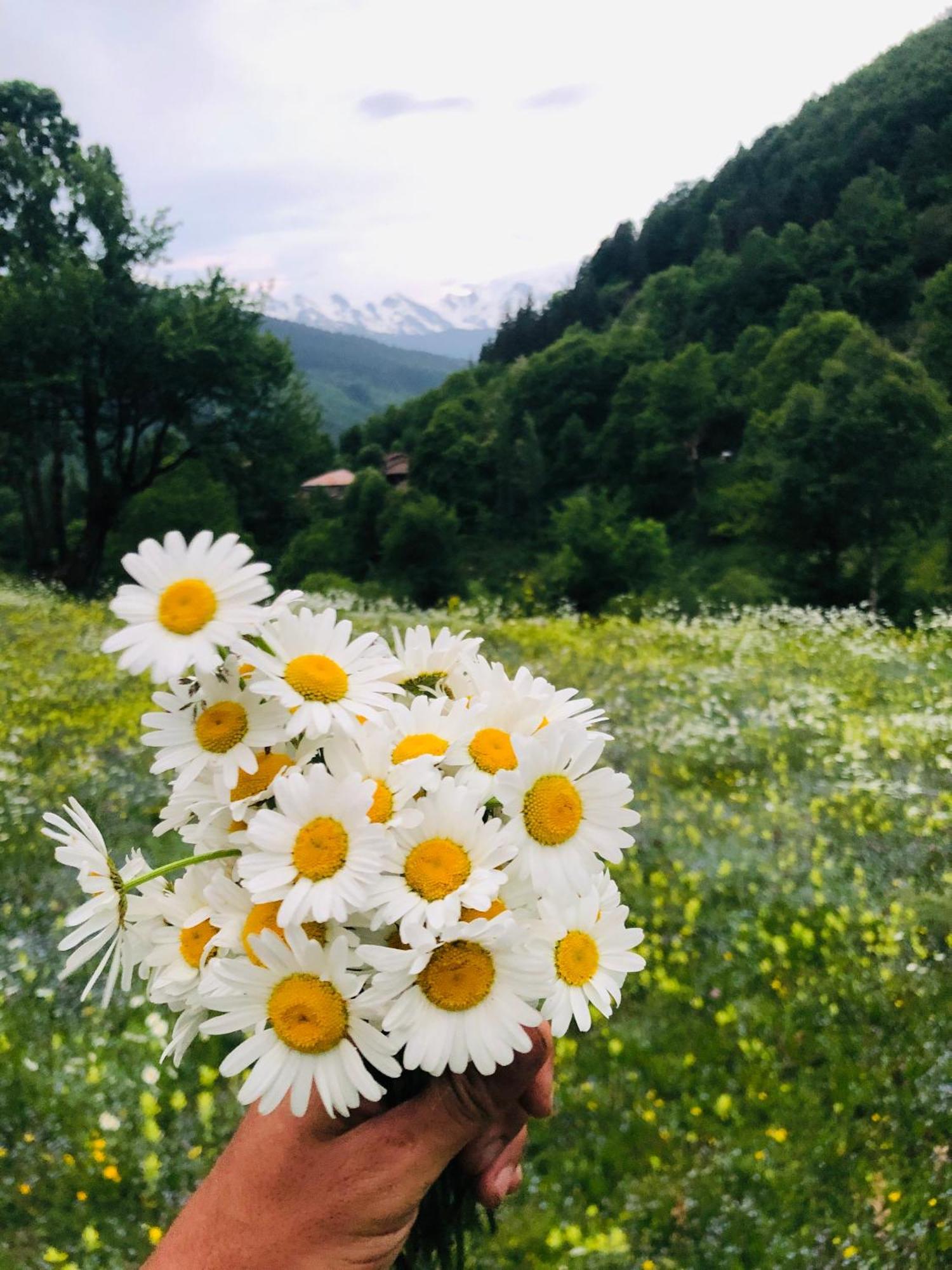 River Side Svaneti Mestia Exterior photo